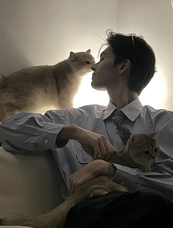 怪猫的第一张照片--江门中老年相亲网